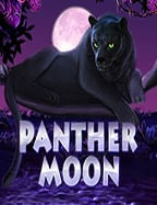 สูตร ฟรี สล็อต ที่มือใหม่ต้องรู้